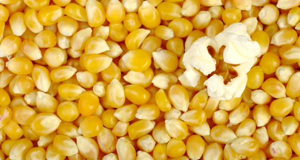 Popcorn auf Mais-Hintergrund — Stockfoto
