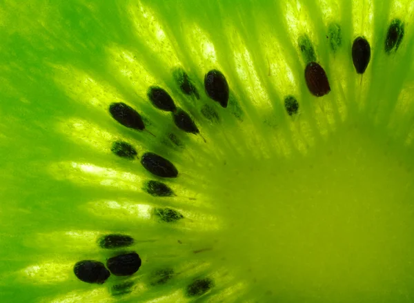 Macro shot d'une tranche de kiwi — Photo