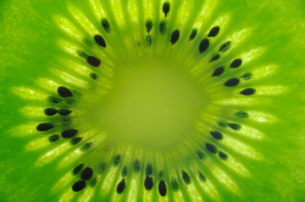Makro skott av en kiwi-skiva — Stockfoto