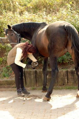 Caring for a horse.