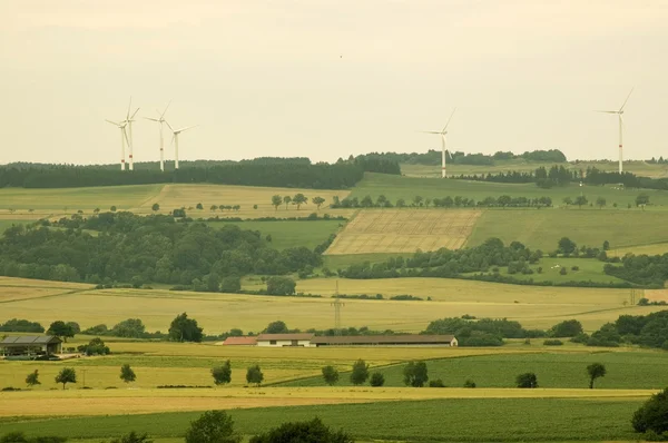 Die Felder und Windmühlen. — Stockfoto