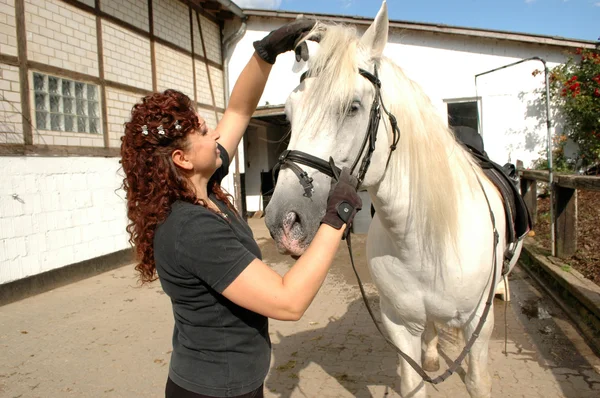 Donna briglia cavallo . — Foto Stock