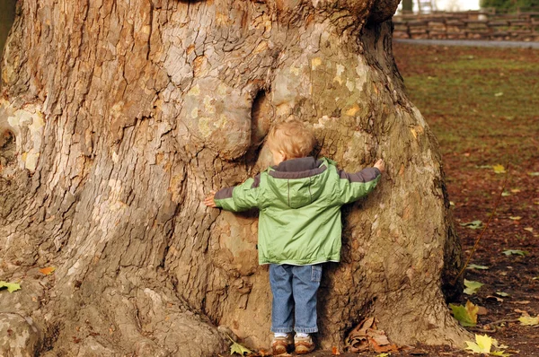 Child embraces an old tree. — Stock Photo, Image