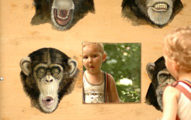 Child and apes. clipart