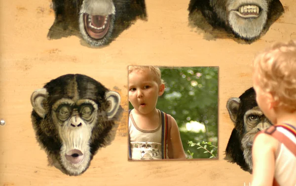 stock image Child and apes.