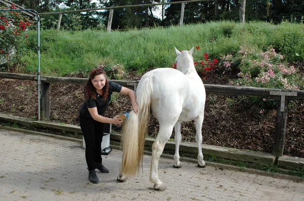 Женщина, ухаживающая за лошадью . — стоковое фото
