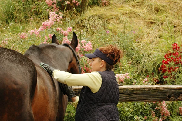Женщина чистит лошадь — стоковое фото