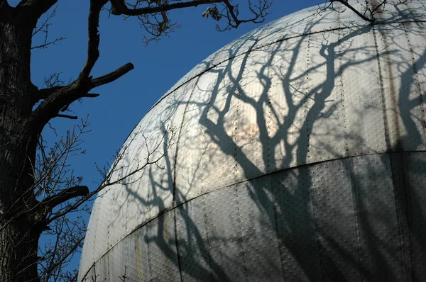 Esfera e sombra de uma árvore . Fotografia De Stock