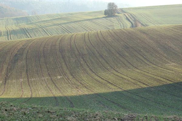 stock image Waves of land.