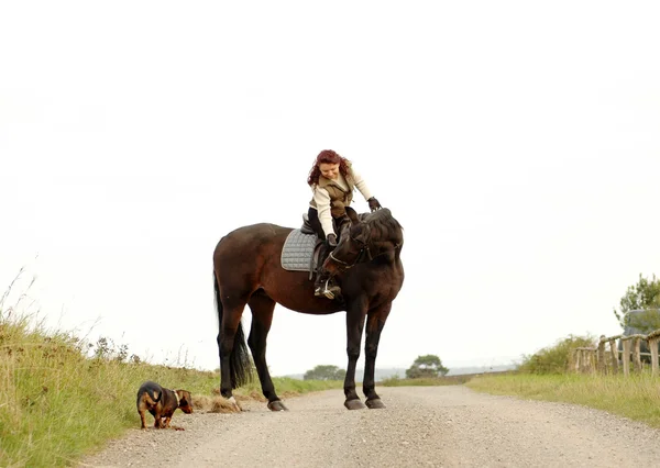 Equestrienne with dog. — Stock Photo, Image