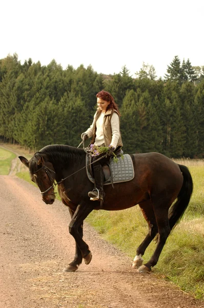 Tänzelndes Pferd und Reiterin. — Stockfoto