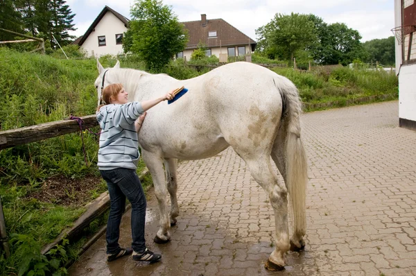 A woman caring for a horse. — Stock Photo, Image