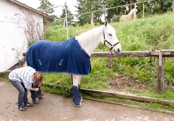Pferd in Decke und Stiefeln. lizenzfreie Stockfotos