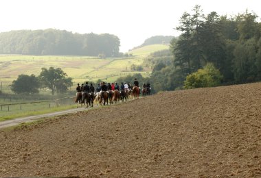 Horses and riders. clipart