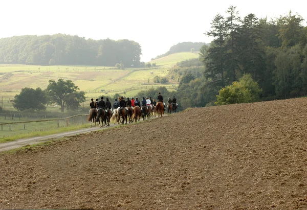 Hästar och ryttare. — Stockfoto