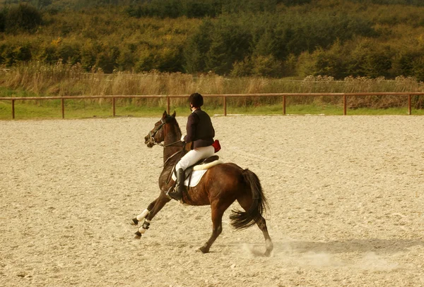 Horseman rides full speed. — Stock Photo, Image
