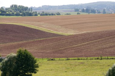 Fields on the slopes. clipart