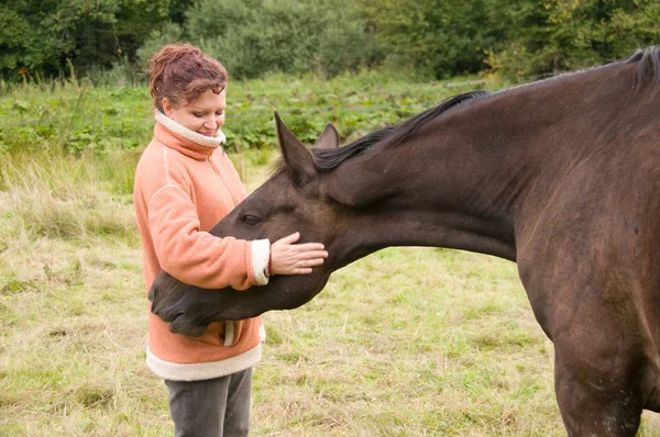 Woman pets horse. — Stock Photo, Image