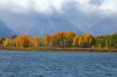 Teton Vista