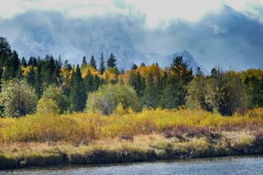 Changing Seasons in the Tetons clipart