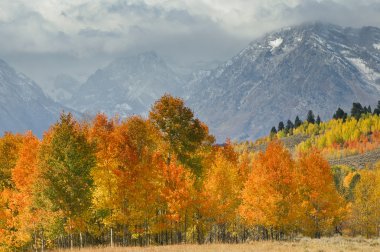 Grand Tetons Autumn clipart