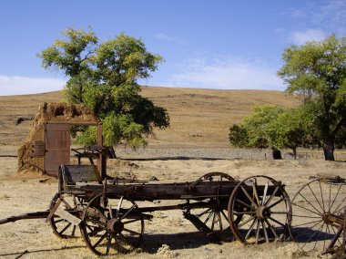 Çölde hususunda