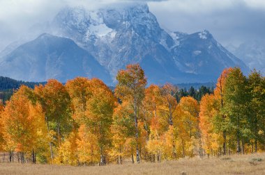 Grand tetons sonbahar