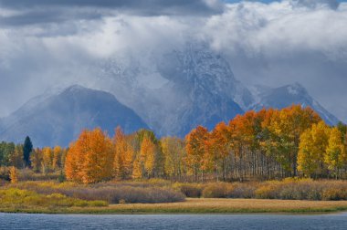 Magnificent Tetons clipart