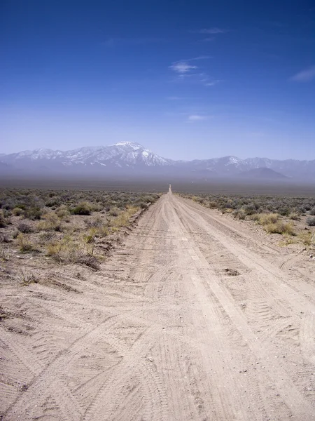 Chemin de terre désertique — Photo