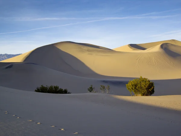 Dünen im Death Valley — Stockfoto