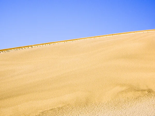 沙漠海岭砂漠のリッジ — 图库照片