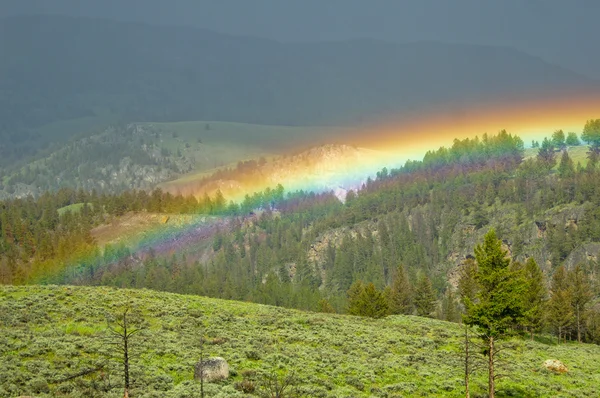 stock image Spectrum