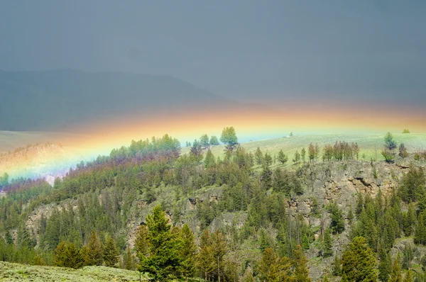 Rainbow in the Rain — Stock Photo, Image