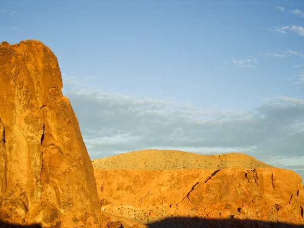 砂漠のグロー — ストック写真