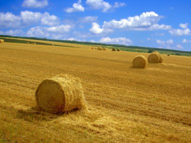 Cleaning up of cereals clipart