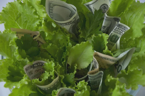 Salad greens and currency — Stock Photo, Image