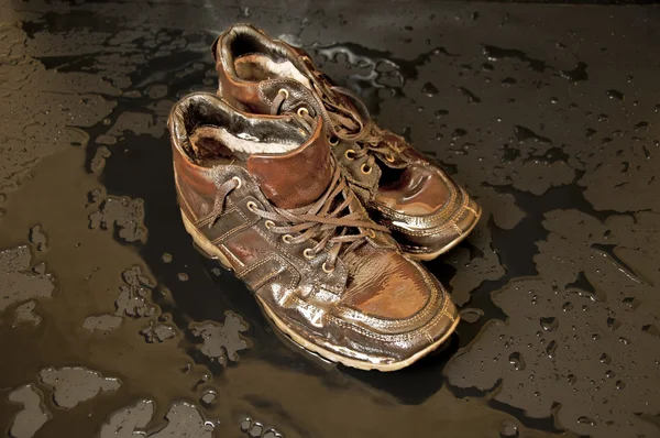 Влажные туфли — стоковое фото