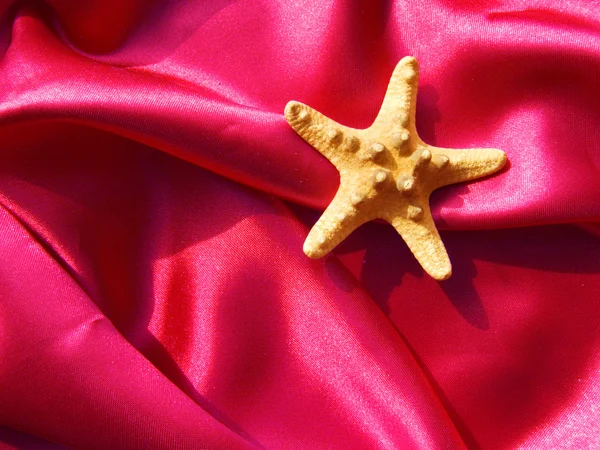 Starfish em tecido de seda — Fotografia de Stock