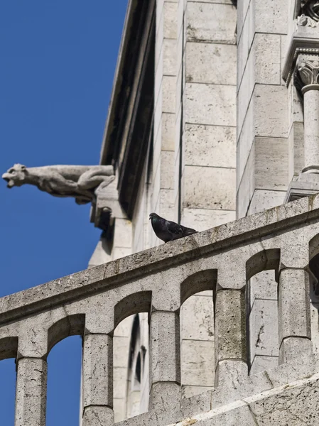 Gargoyle et pigeon du cœur sacré — Photo