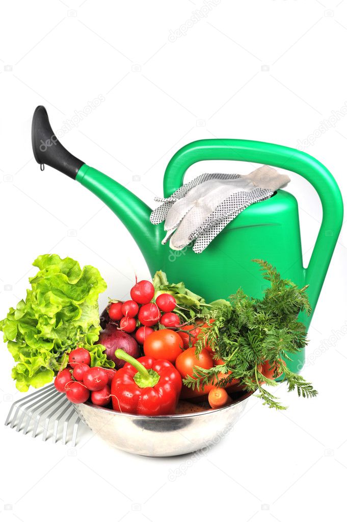 Watering can and vegetables.