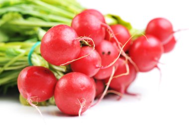 Red radish clipart