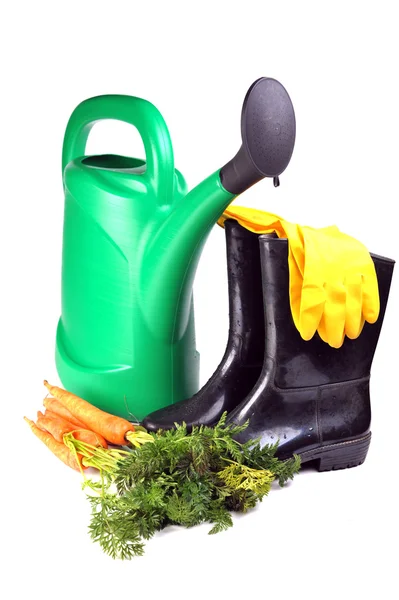 Cenoura e ferramentas de jardinagem — Fotografia de Stock