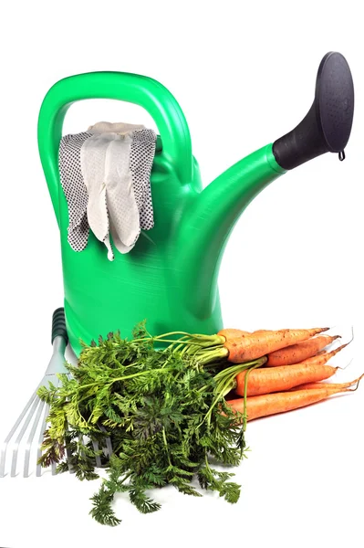 Carrots and watering can — Stock Photo, Image