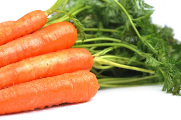 Морковь с листьями — стоковое фото