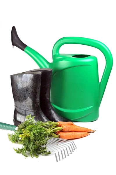 Zanahoria y herramientas de jardinería —  Fotos de Stock