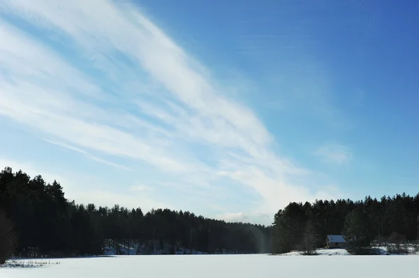 Wintertag — Stockfoto