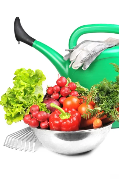 Watering can and vegetables. Stock Photo