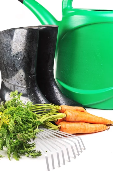 Средства для садоводства и моркови — стоковое фото