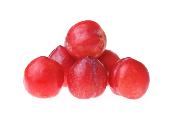 Ameixas vermelhas — Fotografia de Stock