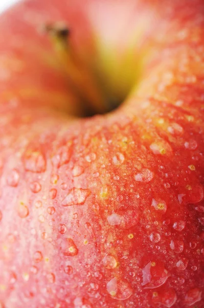 Pomme rouge — Photo
